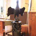 IMG_5957