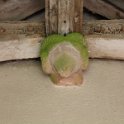 IMG_0610