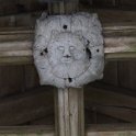 IMG_3539