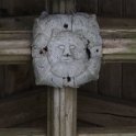 IMG_3540