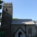 Newton tracey
