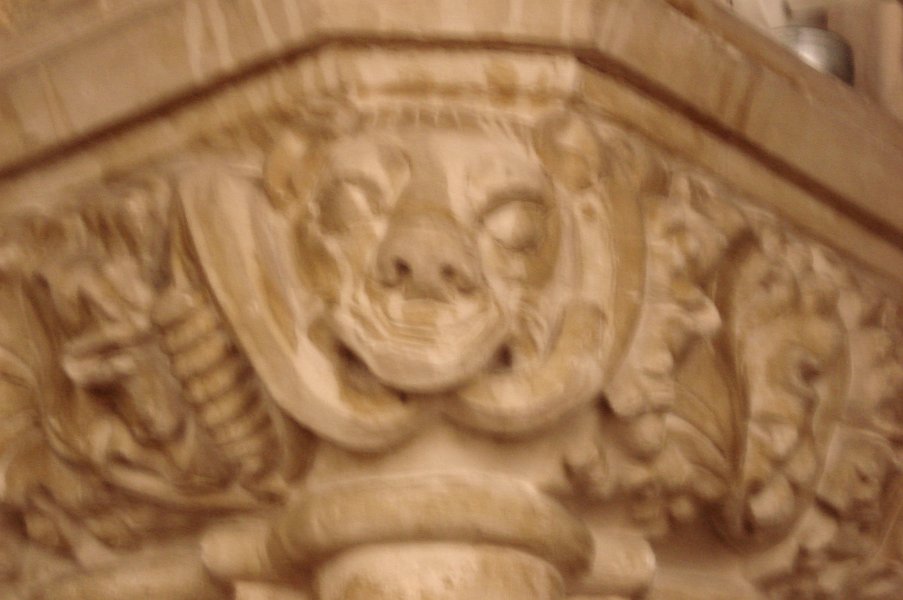 DSC01032