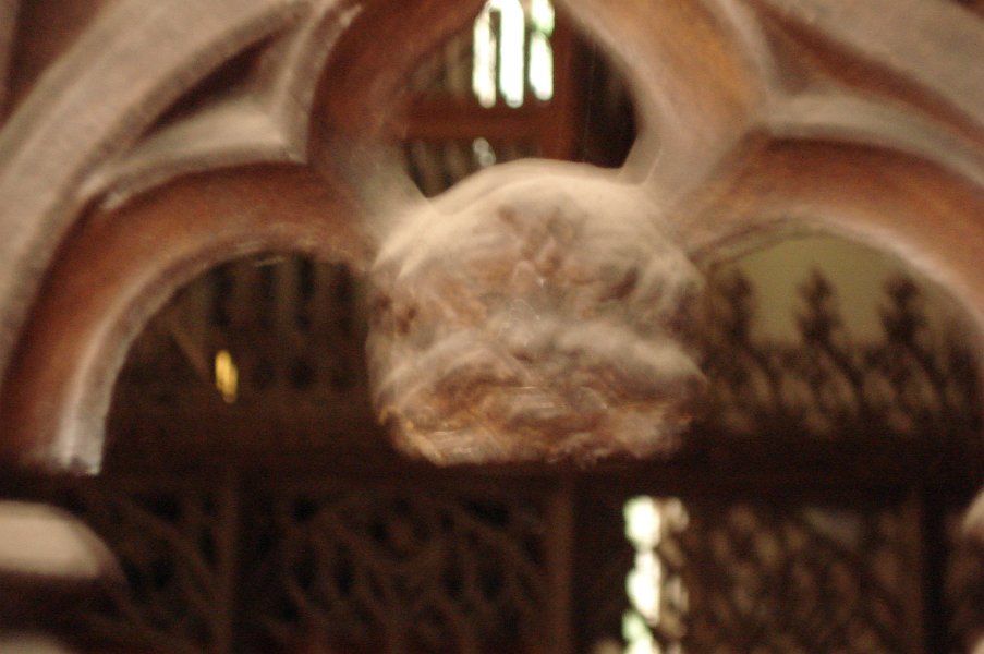 DSC01046