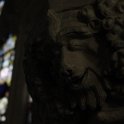 IMG_5801