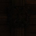 IMG_5807