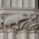 IMG_5846