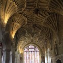 IMG_2047