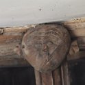IMG_8936