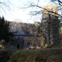 IMG_1554