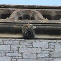 IMG_1567