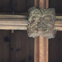IMG_6412