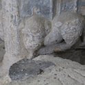 IMG_6341