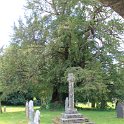 IMG_3179